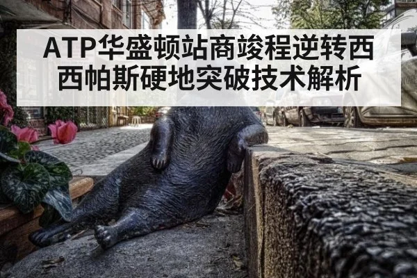ATP华盛顿站商竣程逆转西西帕斯硬地突破技术解析