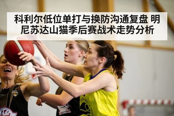 科利尔低位单打与换防沟通复盘 明尼苏达山猫季后赛战术走势分析