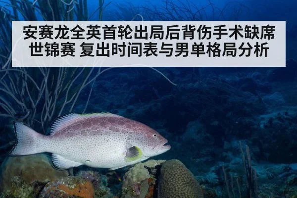 安赛龙全英首轮出局后背伤手术缺席世锦赛 复出时间表与男单格局分析